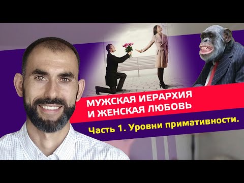 Видео: Мужская Иерархия и Женская Любовь. Часть 1. Уровни Примативности.       #любовь #отношения #мужчина