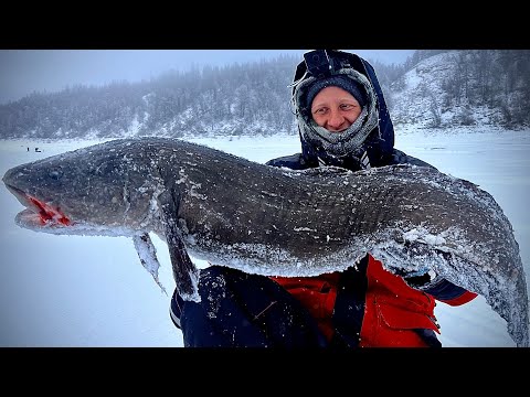 Видео: ДИНОЗАВРЫ ВЕЧНОЙ МЕРЗЛОТЫ! ОСТАВИЛ ЖЕРЛИЦЫ НА НОЧЬ И А**ЕЛ! ЦАРЬ РЕКИ ТАЙМЕНЬ! НАЛИМЫ! РЫБАЛКА 2024!