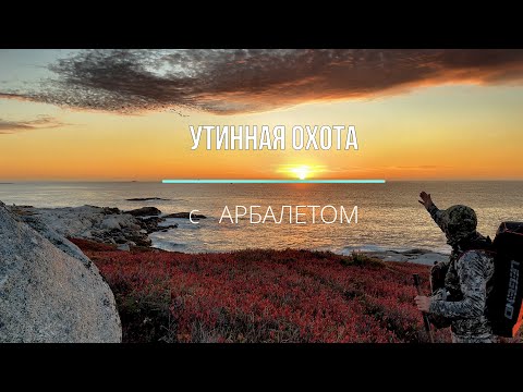 Видео: Утиная охота с АРБАЛЕТОМ
