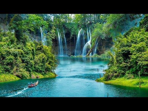 Видео: Музыка лечит сердце и сосуды🌿 Успокаивающая музыка восстанавливает нервную систему, расслабляя