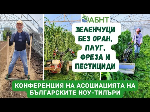 Видео: Как се отглеждат оранжерийни зеленчуци без оран, плуг, фреза и химически пестициди