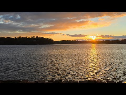 Видео: Где-то в Южной Каролине 🏝 