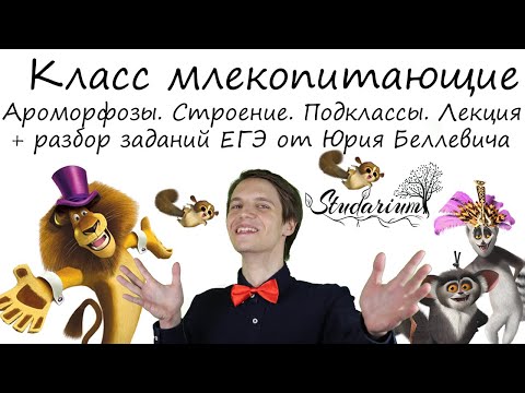 Видео: Класс млекопитающие. Ароморфозы. Строение. Подклассы. Лекция и разбор заданий от Юрия Беллевича