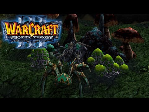 Видео: ЗОВ ПРИРОДЫ: КОРОЛЕВА ПАУКОВ! - ПЕРВАЯ БАЗА! - Warcraft 3 #2