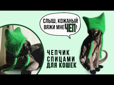 Видео: МК| Как связать шапку для кошки | Вяжем чепчик с кошачьими ушками для домашних питомцев