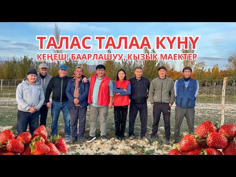 Видео: Таласта талаа күнүндөн кеңеш, баарлашуу, кызык маектер.