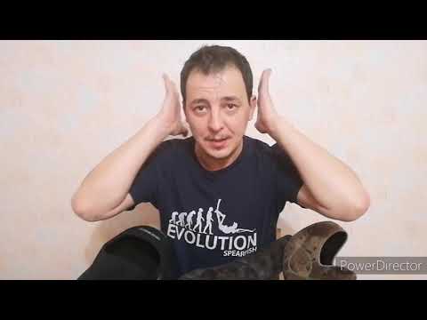 Видео: Уши подводного охотника. Предупреждён значит вооружён!