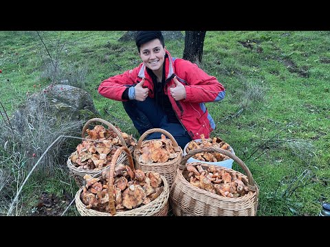 Видео: ЗАПАСИТЕСЬ КОРВАЛОЛОМ! Это РЫЖИКИ И ОНИ НАПАДАЮТ! Я продолжу вас шокировать)