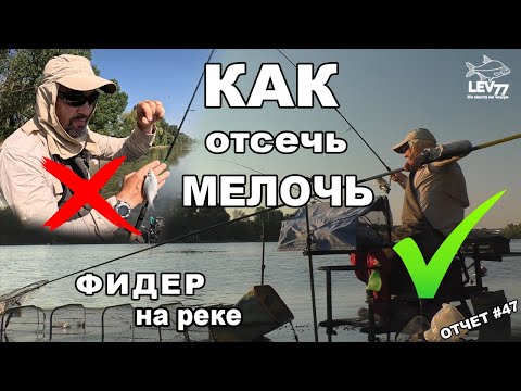Видео: Как избавиться от мелочи на реке.Рыбалка на фидер.