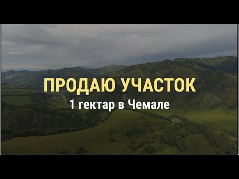 Видео: Уникальный участок 1га, рядом берег Катуни и ГЭС, в самом тёплом месте Чемала, с соснами и берёзами.