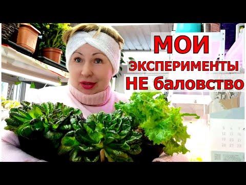 Видео: Неужели муж на это решится? Боюсь представить. Три эксперимента с растениями.