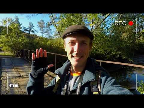 Видео: Хадыженск / Прогулялся от конца улицы Горького до дороги на Апшеронск по лесу