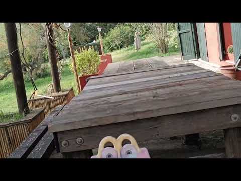 Видео: 28,10, 25года Всем добрый день 🥰🇺🇦🇮🇹♥️