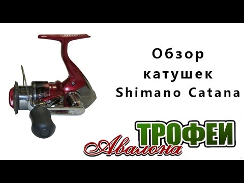 Видео: Обзор катушек Shimano Catana - магазин "Трофеи Авалона"