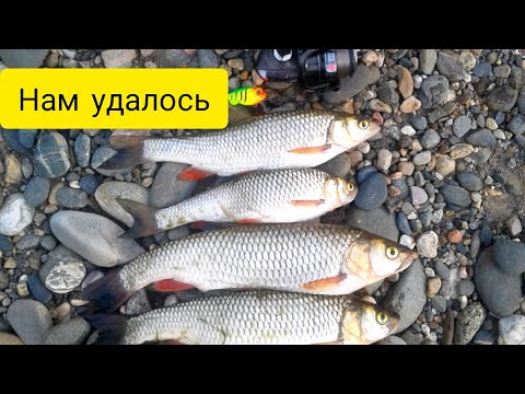 Видео: Река Белая. Рыбалка 2020 Осенний голавль на спиннинг.