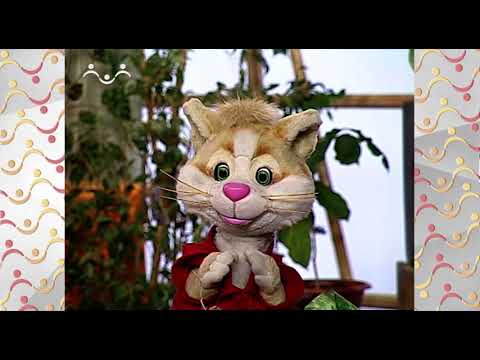 Видео: Шишкин Лес.  Зимний сад.  Ландыши и гиацинты