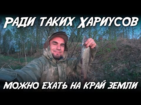 Видео: Ради таких хариусов можно ехать на край земли