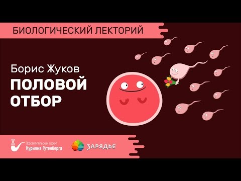 Видео: Биолекторий | Половой отбор – Борис Жуков