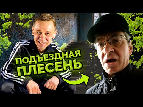 Видео: ❗️ВИДЕО КОЛЛЕКТОРА❗️ ПОЖИЛАЯ ЗИГОТА ПРИШЛА ВЗЫСКИВАТЬ❗️| БАНКРОТСТВО | Кузнецов | Аллиам