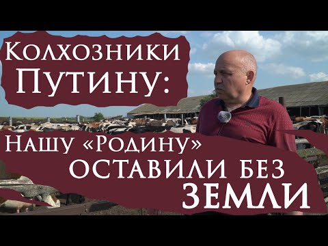 Видео: Как продавали «Родину»: в Пензенской области передовое хозяйство оставили без земли