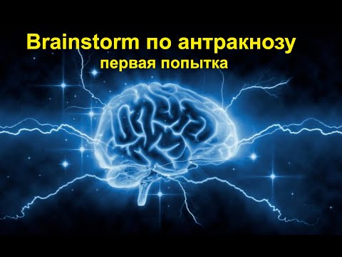 Видео: Brainstorm по антракнозу