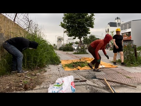 Видео: Всего 3 дня, чтобы преобразить тротуар рядом с этим храмом – Невероятно!