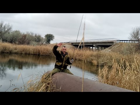 Видео: Осенний Жор Щуки. Ловля Щуки в Сельском Пруду