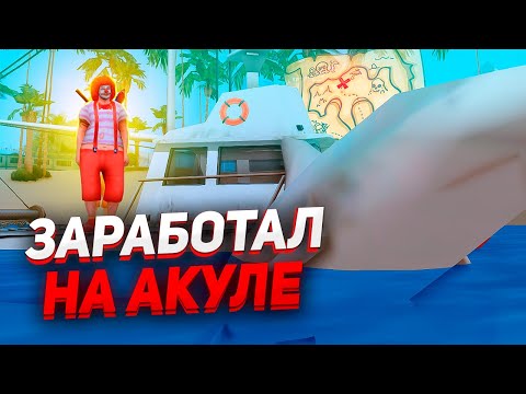 Видео: СЛОВИЛ БОЛЬШУЮ АКУЛУ за МНОГО ДЕНЕГ! GTA SAMP - PEARS PROJECT