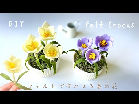 Видео: 【Без шитья】Как сделать крокус из фетра