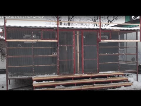 Видео: Новая голубятня сдана в эксплуатацию