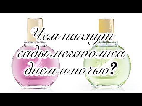 Видео: Чем пахнут сады мегаполиса днем и в полночь?