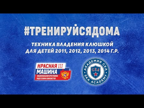 Видео: Техника владения клюшкой для младшей возрастной группы | Анисимов В. В.