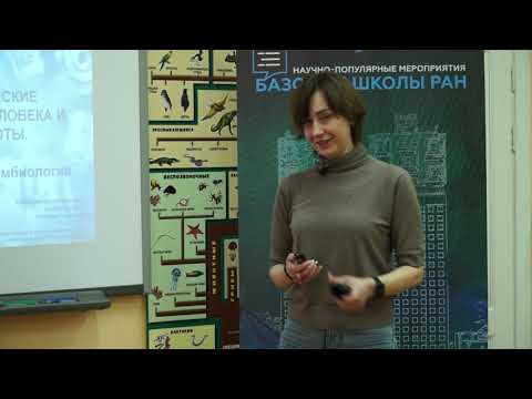 Видео: Наталья Перунова: Симбиотические отношения человека и микробиоты. Инфекционная симбиология