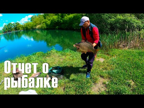 Видео: Отчет о рыбалке. "Новая рыбалка" в Белгороде