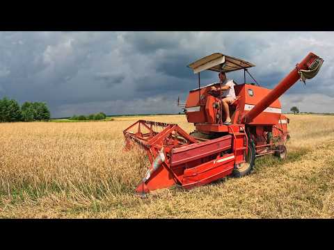 Видео: Два комбайни з нашого села: Massey Ferguson 186 та John Deere 1042 на жнивах