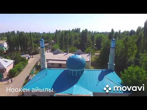 Видео: Айылым менин