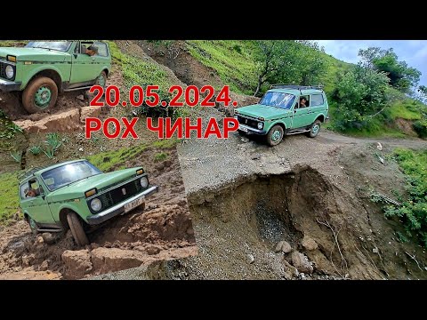 Видео: 20 мая 2024 г.