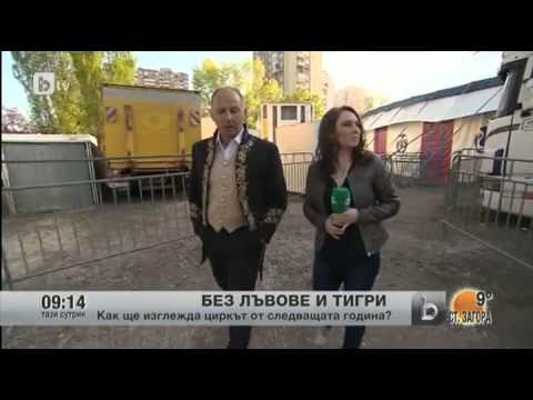 Видео: Цирк Балкански в Тази сутрин