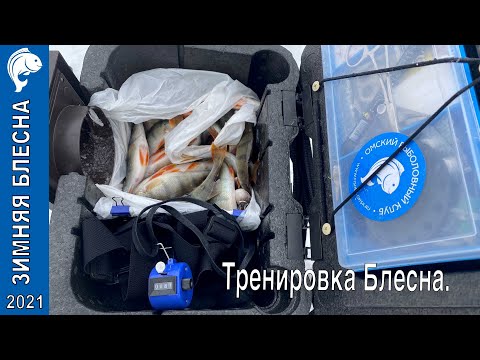 Видео: Зимняя блесна, тренировка.