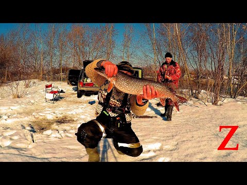 Видео: Рыбалка . Двое суток на реке. Отличное Открытие Летнего Сезона. Ловля Хищника на Живца.