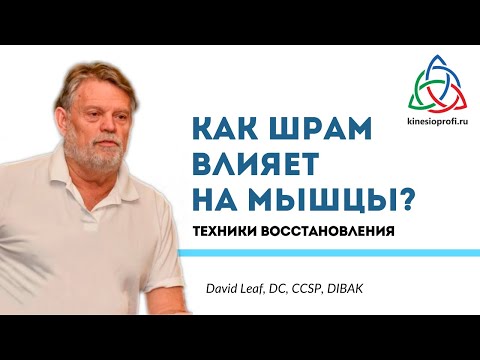 Видео: Как шрам влияет на мышцы? Техники восстановления. Дэвид Лиф