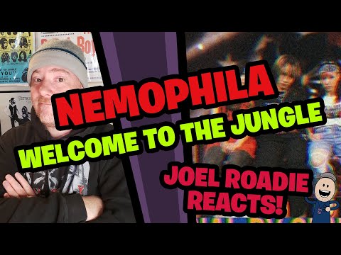 Видео: Немофила | Добро пожаловать в джунгли (Guns N' Roses) — Реакция роуди