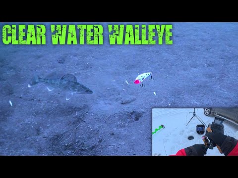 Видео: Сезон подлёдной рыбалки 2025-2026 начинается! (Подводные кадры ловли судака)