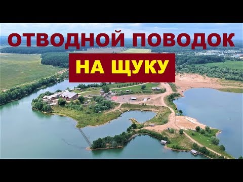 Видео: ОТВОДНОЙ ПОВОДОК