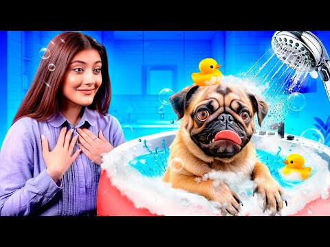 Видео: Мы построили аквапарк для животных дома!