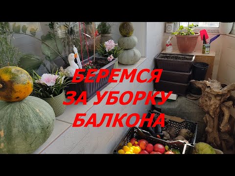 Видео: УБОРКА БАЛКОНА