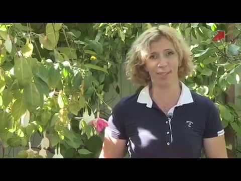 Видео: "Фитоаптека" 7 серия. Марина Рыкалина и Виталий Декабрев. "Усадьба"