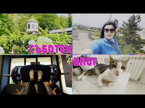 Видео: Ветеринар, Калето, мир при манастир, МОЛ в Мездра? | Съботен влог