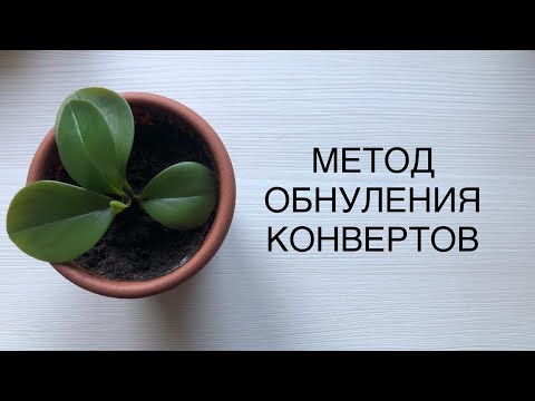 Видео: МЕТОД КОНВЕРТОВ: ОБНУЛЕНИЕ. Мой опыт)