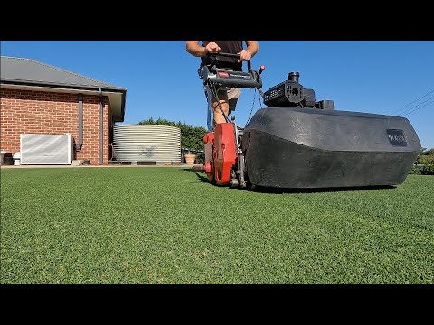 Видео: Обновление информации о реконструкции газонов. Насколько хорошо они восстановились?